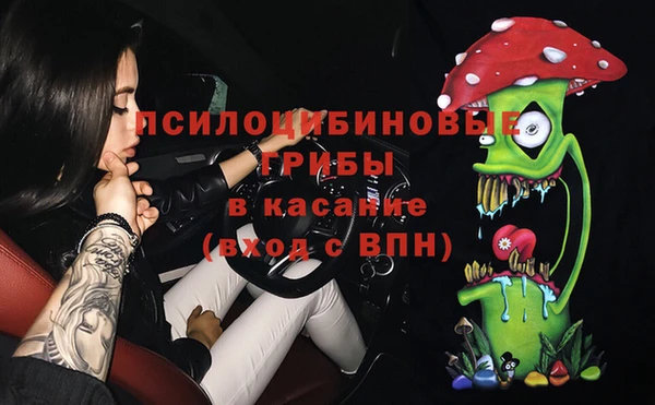 соль ск Алексеевка