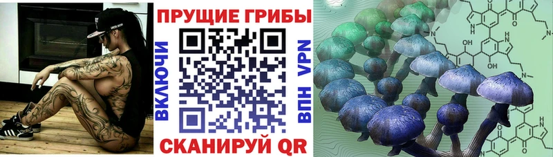 Псилоцибиновые грибы прущие грибы  KRAKEN маркетплейс  Усть-Илимск  наркота 